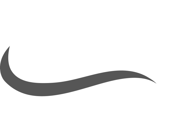 Acti Group